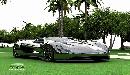 eco-exotic-scorpion