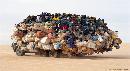 Fully-loaded-truck