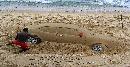 Sand-car