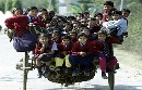 overloaded-tanga