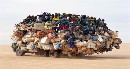 overloaded-truck