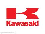 Kawasaki ZR 250 Balius Logo