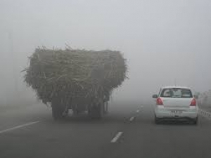 Driving Tips How to Drive Safe in a Fog