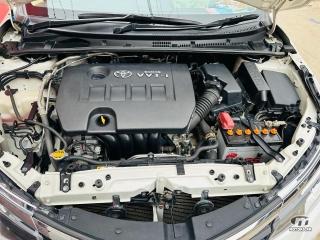 Toyota Corolla by 