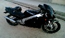 Kawasaki ZXRR NINJA 250cc Front view