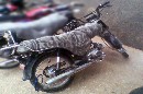 Other super star CD 70 Side view