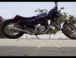 Honda Custom 250 Rear view