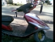 Honda  Rear view