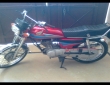 Honda 125 Front view