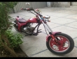 Other 49cc Front view