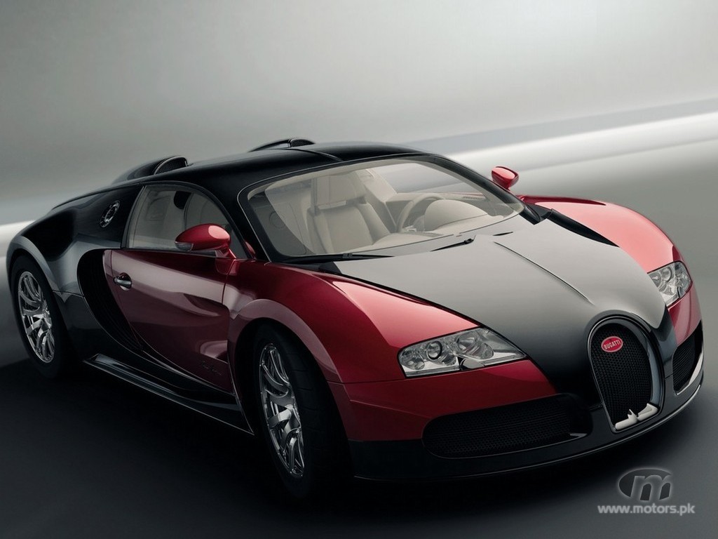 Birdsman-Bugatti_Veyron