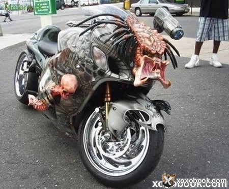 predator-bike-2010