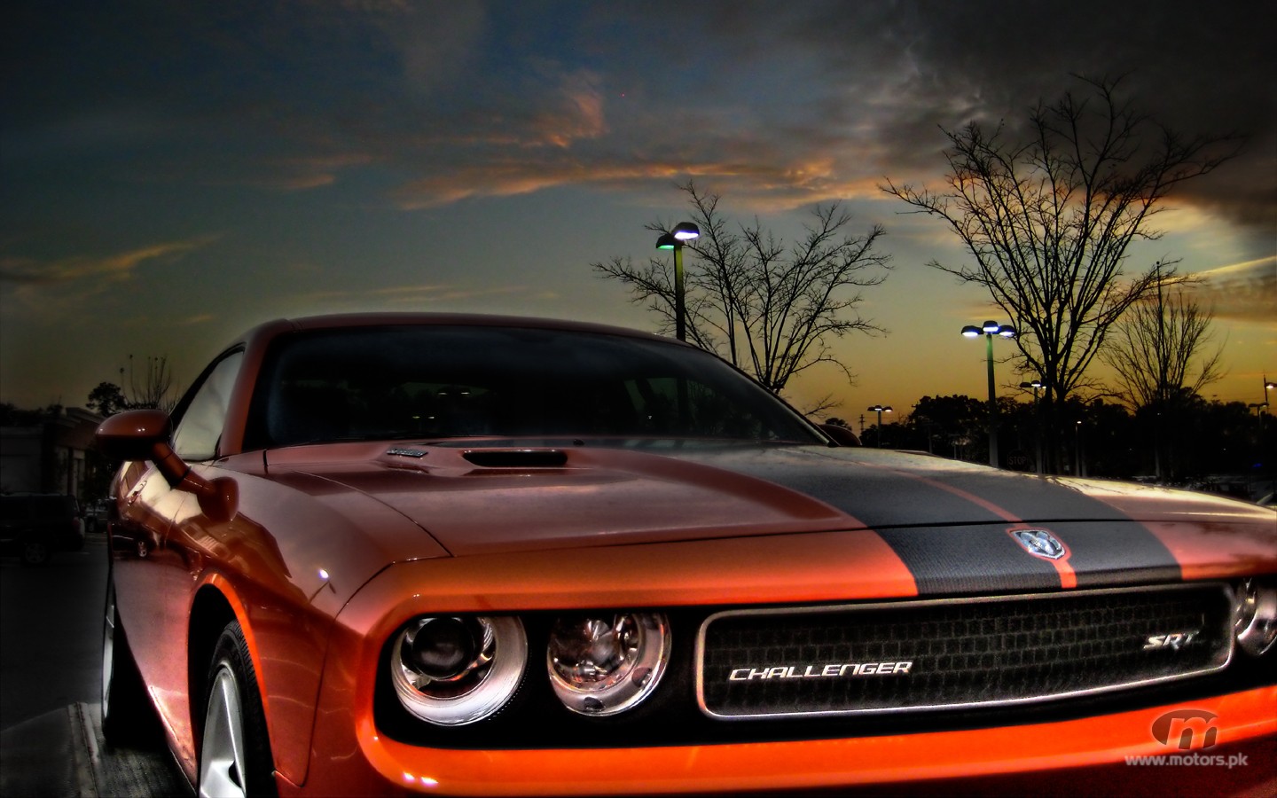 custom-challenger-muscle